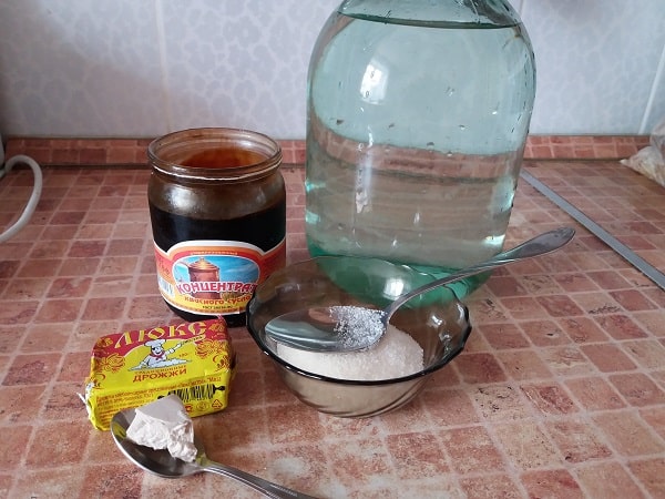 ingredienty-dlya-kvasa