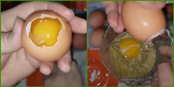 Освобождаем яйца от белков и желтков