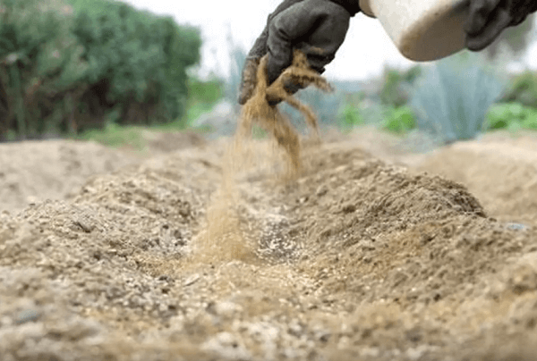 Удобрение почвы костной мукой