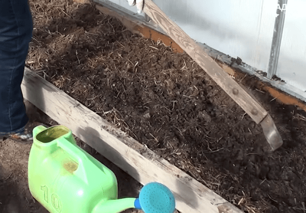 Заделывание костной муки в почву