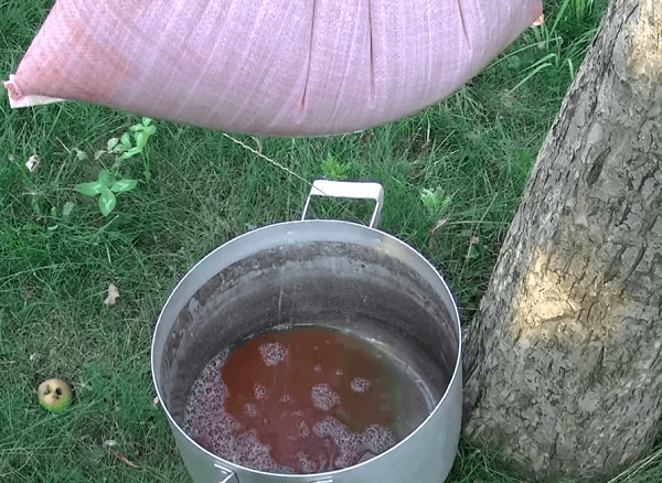 Сок от помидор стекает из подвешенного мешка