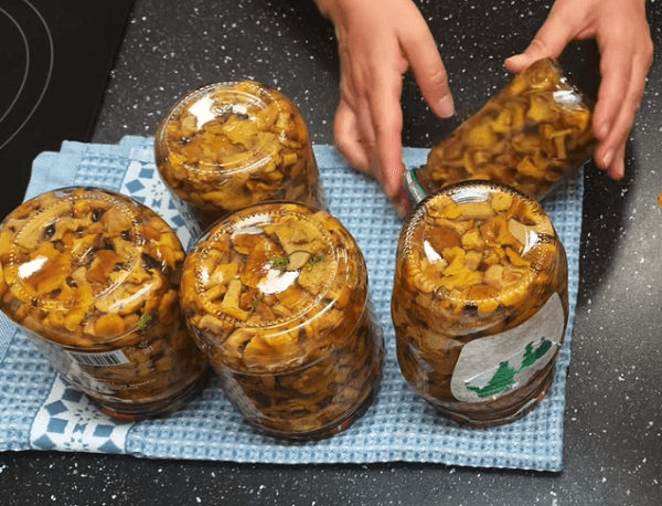 Грибы лисички на зиму – рецепты приготовления